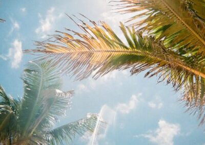 COMMUNITY WEBSITE - PROPERTYPOP HOA WEBSITES